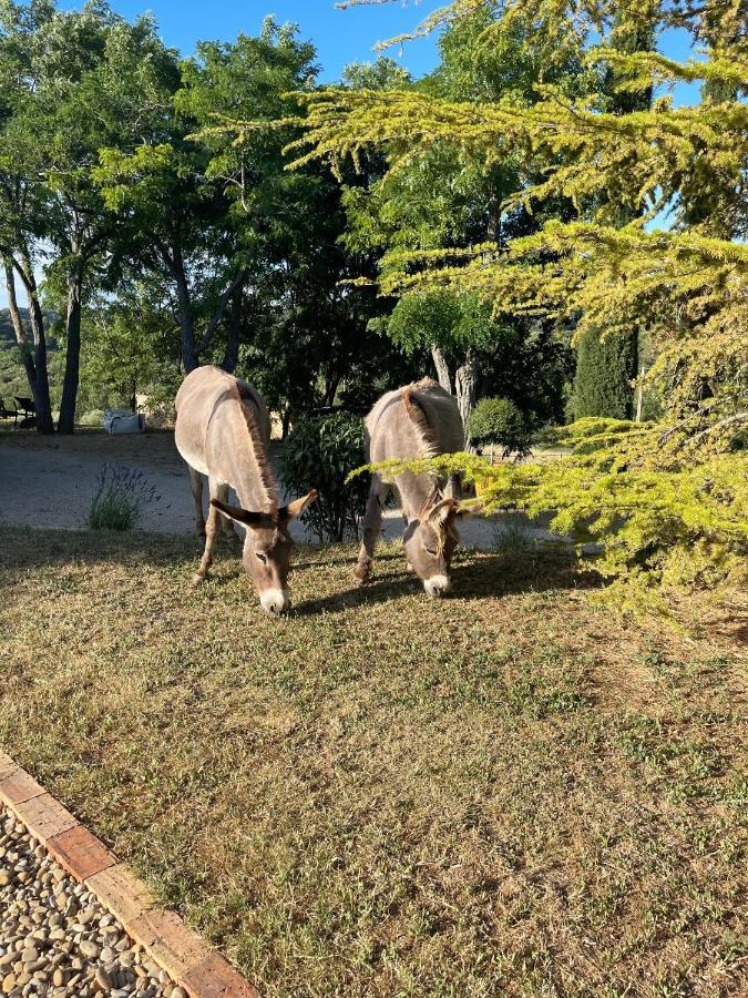 Lodge - Le Clos Devancon Greoux-les-Bains Ngoại thất bức ảnh